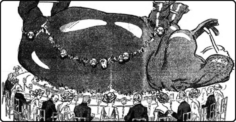 Hippopotamus - Serious plans were made to feed Americans hippopotamus meat