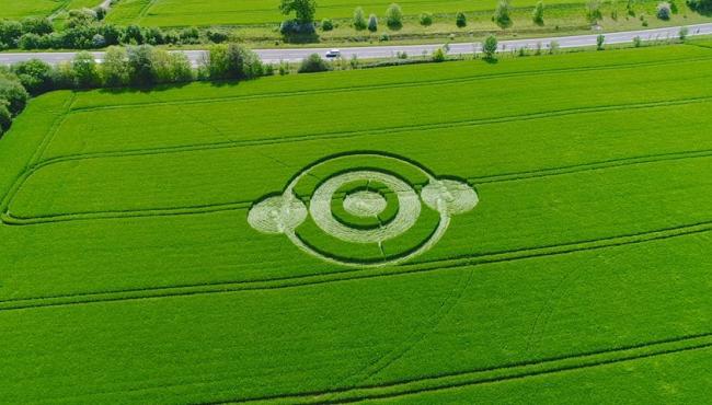 The Truth Behind the Mysterious Crop Circles Phenomenon – A Hoax Started by a Pair of Drunk Prankster Pals