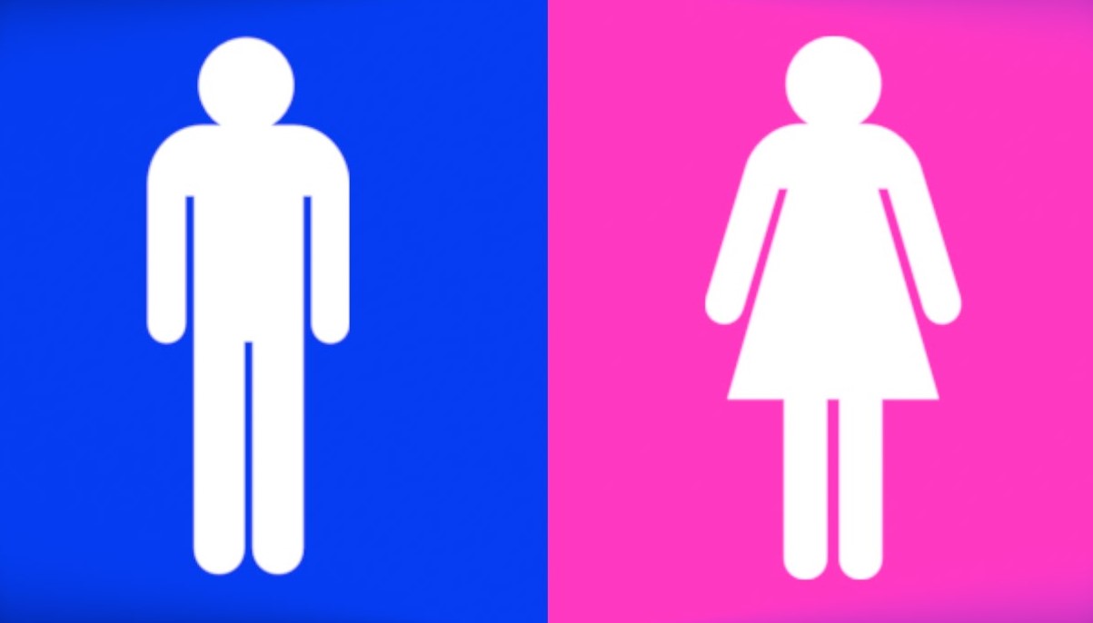 Pink Became a Feminine Color Relatively Recently