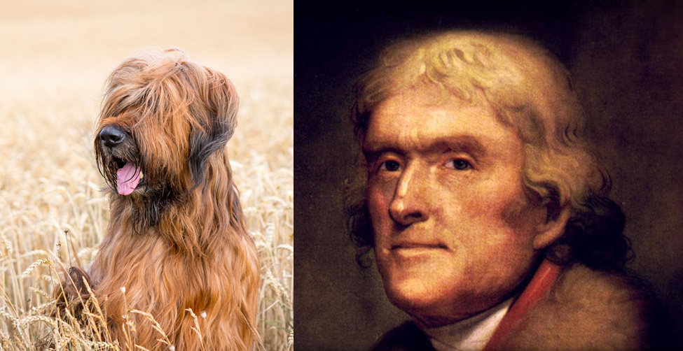 Thomas Jefferson Went From Dog Lover to Wanting to Exterminate All Dogs