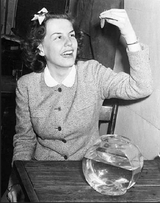 Bad Fads – The 1939 Goldfish Swallowing Craze That Swept American Colleges