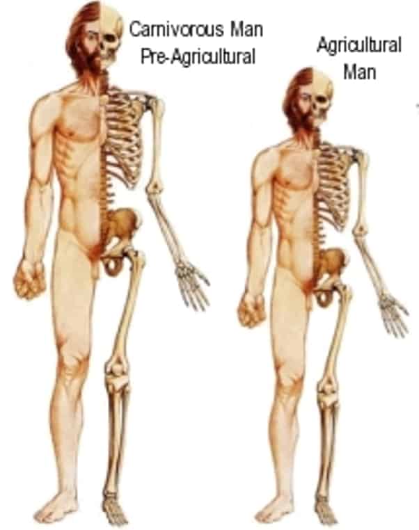 The Neolithic Revolution, Part X: Humanity Benefited Greatly From the Switch to Farming, But it Came at a High Cost
