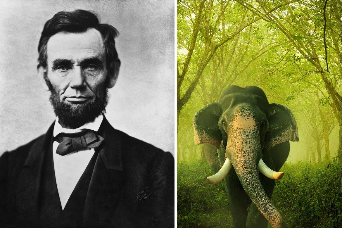 America’s Wilderness Could Have Been Full of Wild Elephants if Not for Abraham Lincoln