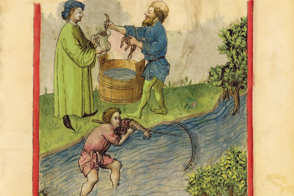 Medieval Eel Money: When Eels Were Used as Currency