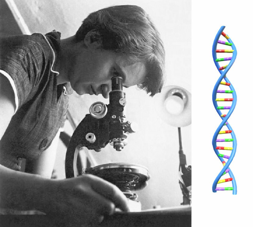Rosalind Franklin: The Unsung Heroine of DNA Discovery