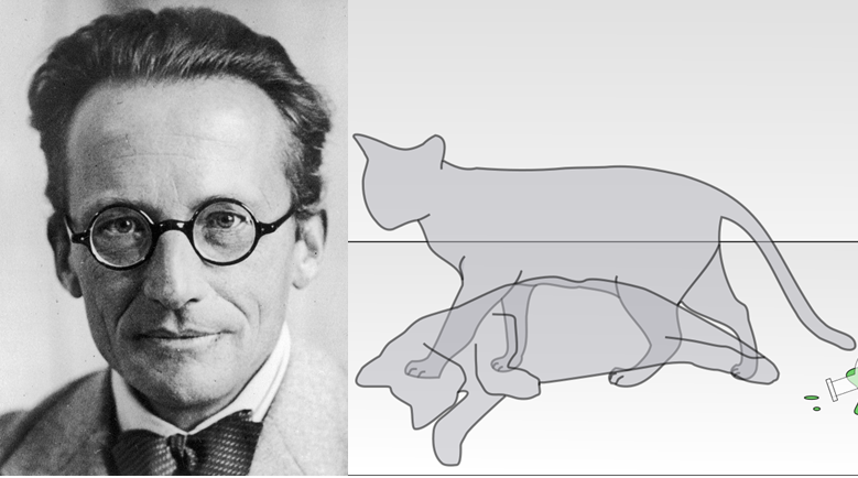 Like His Cat That Was Both Dead and Alive, Erwin Schrodinger Was Both a Genius and a Monster
